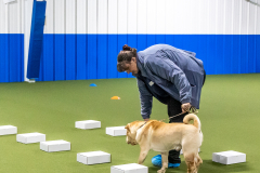 10-22-23-ScentWork-939