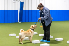 10-22-23-ScentWork-945