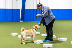 10-22-23-ScentWork-947