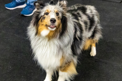 10-22-23-ScentWork-958