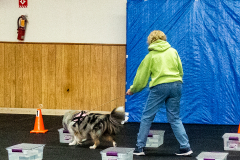 10-22-23-ScentWork-968