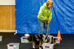 10-22-23-ScentWork-969