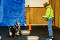 10-22-23-ScentWork-971