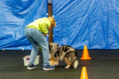 10-22-23-ScentWork-979