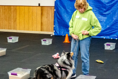 10-22-23-ScentWork-982