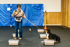 10-22-23-ScentWork-989