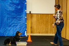 10-22-23-ScentWork-994