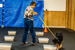 10-22-23-ScentWork-997