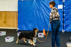 10-22-23-ScentWork-999
