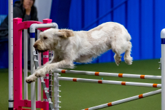 2023-June-AADTC-Trial-1006