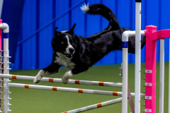 2023-June-AADTC-Trial-1014