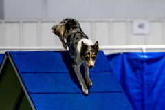 2023-June-AADTC-Trial-1015