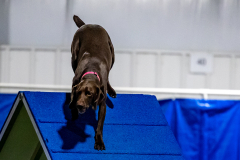 2023-June-AADTC-Trial-1020