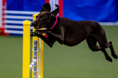 2023-June-AADTC-Trial-1021