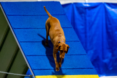 2023-June-AADTC-Trial-1027