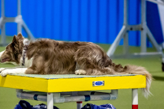 2023-June-AADTC-Trial-1033