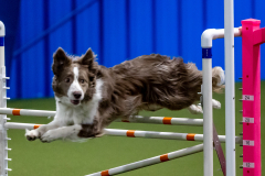 2023-June-AADTC-Trial-1034