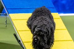 2023-June-AADTC-Trial-1036