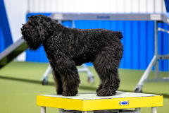 2023-June-AADTC-Trial-1038