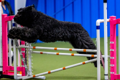 2023-June-AADTC-Trial-1039