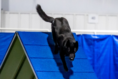 2023-June-AADTC-Trial-1042