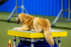 2023-June-AADTC-Trial-1049