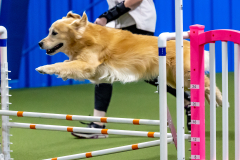 2023-June-AADTC-Trial-1050