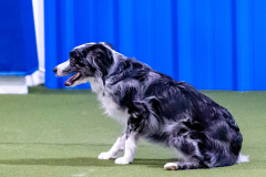 2023-June-AADTC-Trial-1051