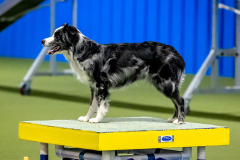 2023-June-AADTC-Trial-1053