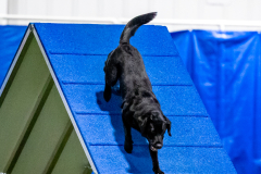 2023-June-AADTC-Trial-1055