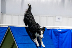 2023-June-AADTC-Trial-1058