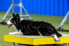 2023-June-AADTC-Trial-1059