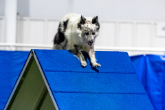 2023-June-AADTC-Trial-1061