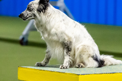 2023-June-AADTC-Trial-1062