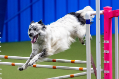 2023-June-AADTC-Trial-1063