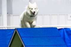 2023-June-AADTC-Trial-1064