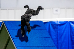 2023-June-AADTC-Trial-1068