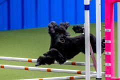 2023-June-AADTC-Trial-1071