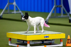 2023-June-AADTC-Trial-1073