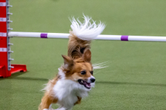 2023-June-AADTC-Trial-1075