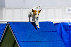 2023-June-AADTC-Trial-1078