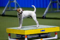 2023-June-AADTC-Trial-1079