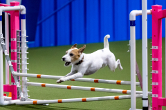 2023-June-AADTC-Trial-1080