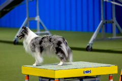 2023-June-AADTC-Trial-1082