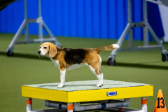 2023-June-AADTC-Trial-1085