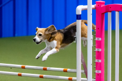 2023-June-AADTC-Trial-1086