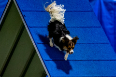 2023-June-AADTC-Trial-1087