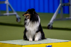 2023-June-AADTC-Trial-1091