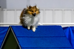 2023-June-AADTC-Trial-1092