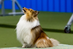 2023-June-AADTC-Trial-1094